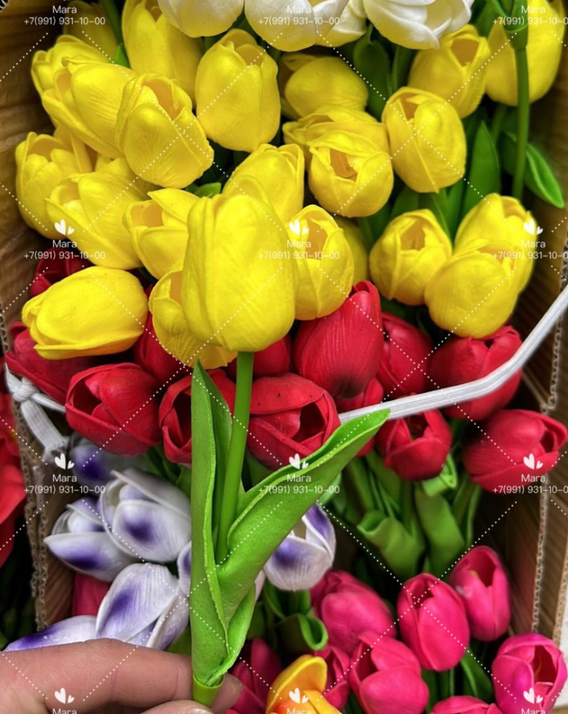 Латексный тюльпан - снова в наличии купить в Интернет-магазине Садовод База - цена 3500 руб Садовод интернет-каталог