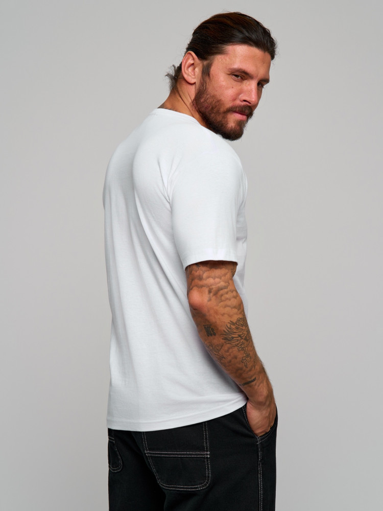 Футболка для мужчин, хлопок купить в Интернет-магазине Садовод База - цена 350 руб Садовод интернет-каталог