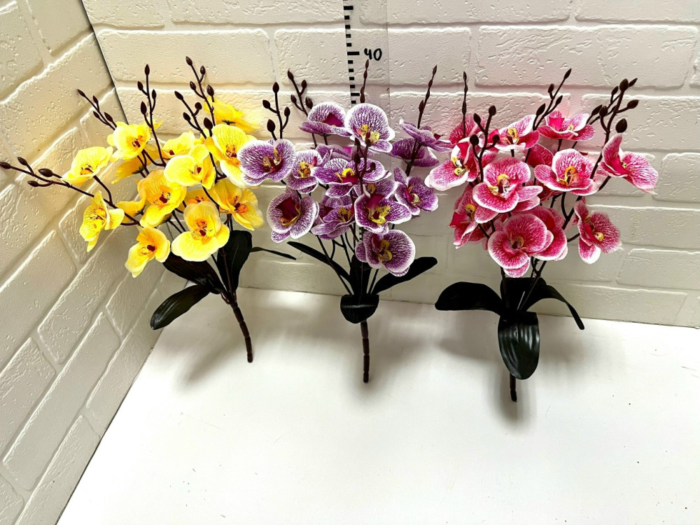 цветы купить в Интернет-магазине Садовод База - цена 2200 руб Садовод интернет-каталог