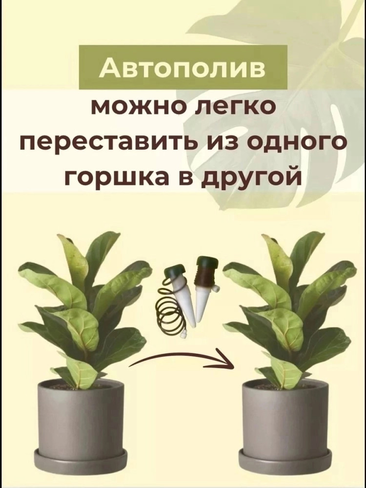 Автополив для комнатных растений купить в Интернет-магазине Садовод База - цена 150 руб Садовод интернет-каталог