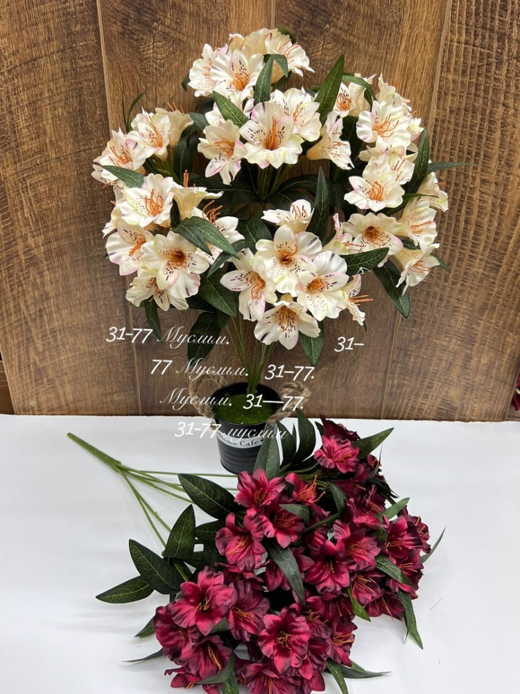 цветы купить в Интернет-магазине Садовод База - цена 8000 руб Садовод интернет-каталог
