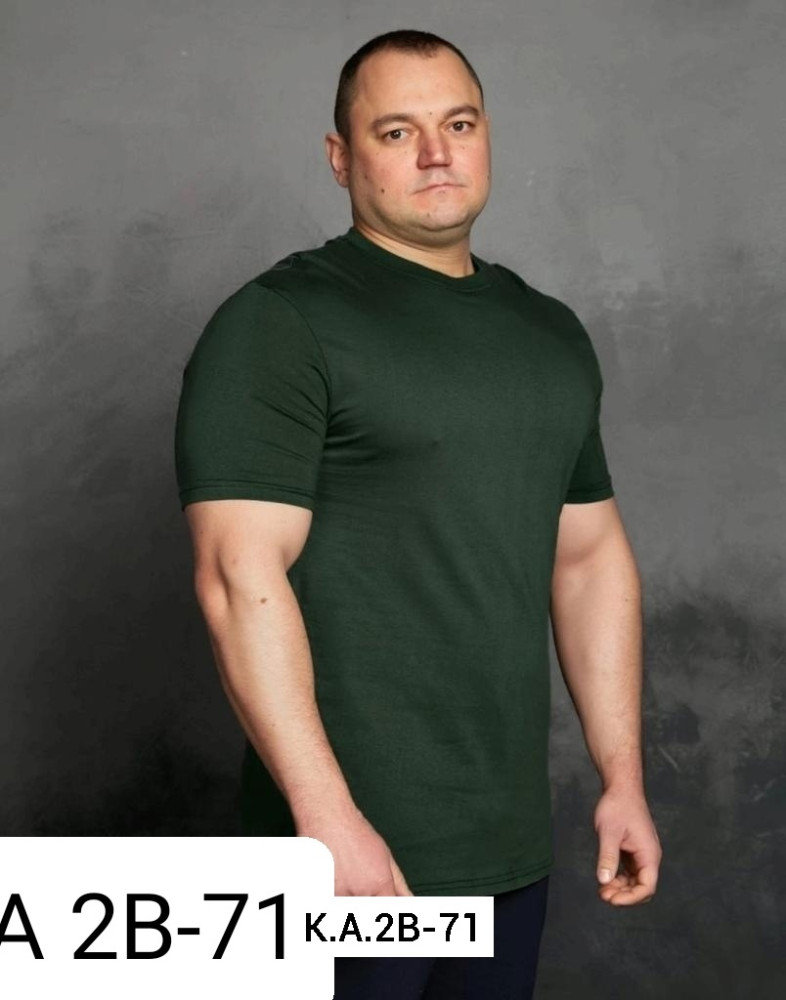Мужская футболка зеленая купить в Интернет-магазине Садовод База - цена 250 руб Садовод интернет-каталог