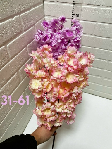 цветы САДОВОД официальный интернет-каталог