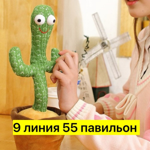 Музыкальный кактус САДОВОД официальный интернет-каталог