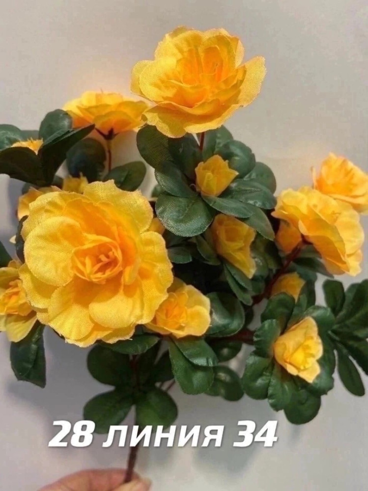 Цветы купить в Интернет-магазине Садовод База - цена 45 руб Садовод интернет-каталог
