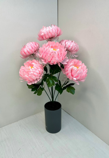 Название:«Хризантема» Количество голов:7-Голов САДОВОД официальный интернет-каталог