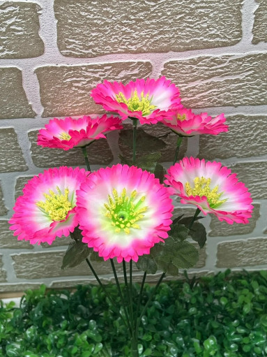 цветы САДОВОД официальный интернет-каталог