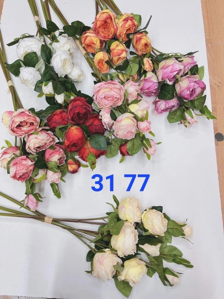 цветы купить в Интернет-магазине Садовод База - цена 7000 руб Садовод интернет-каталог
