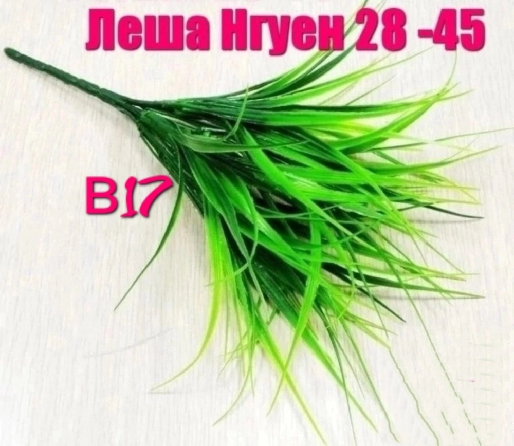 Упаковка  20 букет (один цвет) купить в Интернет-магазине Садовод База - цена 900 руб Садовод интернет-каталог