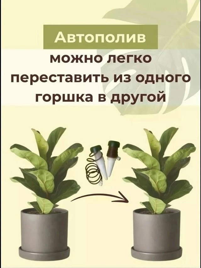Автополив для комнатных растений и теплиц купить в Интернет-магазине Садовод База - цена 100 руб Садовод интернет-каталог