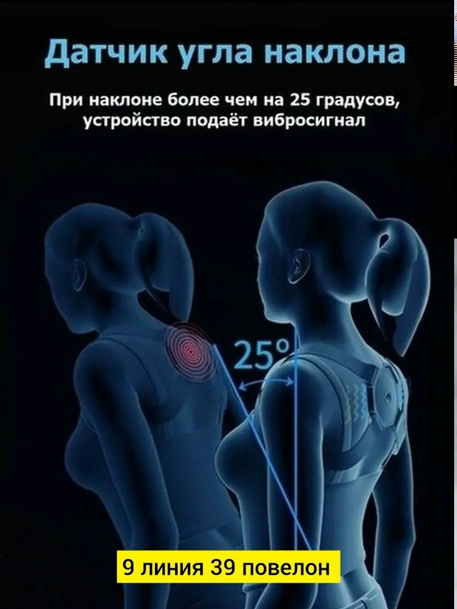 Ортопедический корсет купить в Интернет-магазине Садовод База - цена 170 руб Садовод интернет-каталог