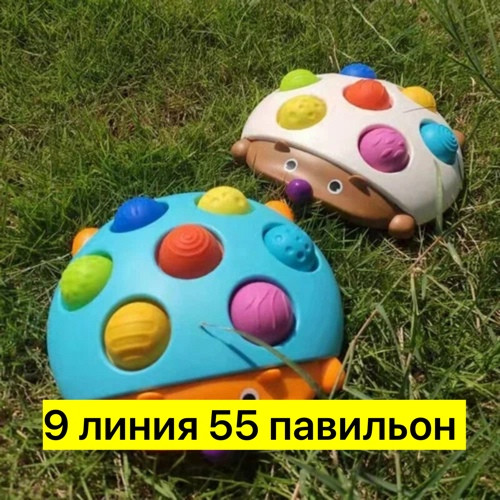 Сортер ежик купить в Интернет-магазине Садовод База - цена 200 руб Садовод интернет-каталог