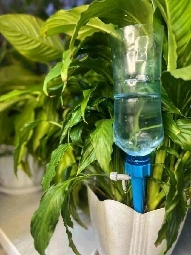 Система капельный полив купить в Интернет-магазине Садовод База - цена 100 руб Садовод интернет-каталог