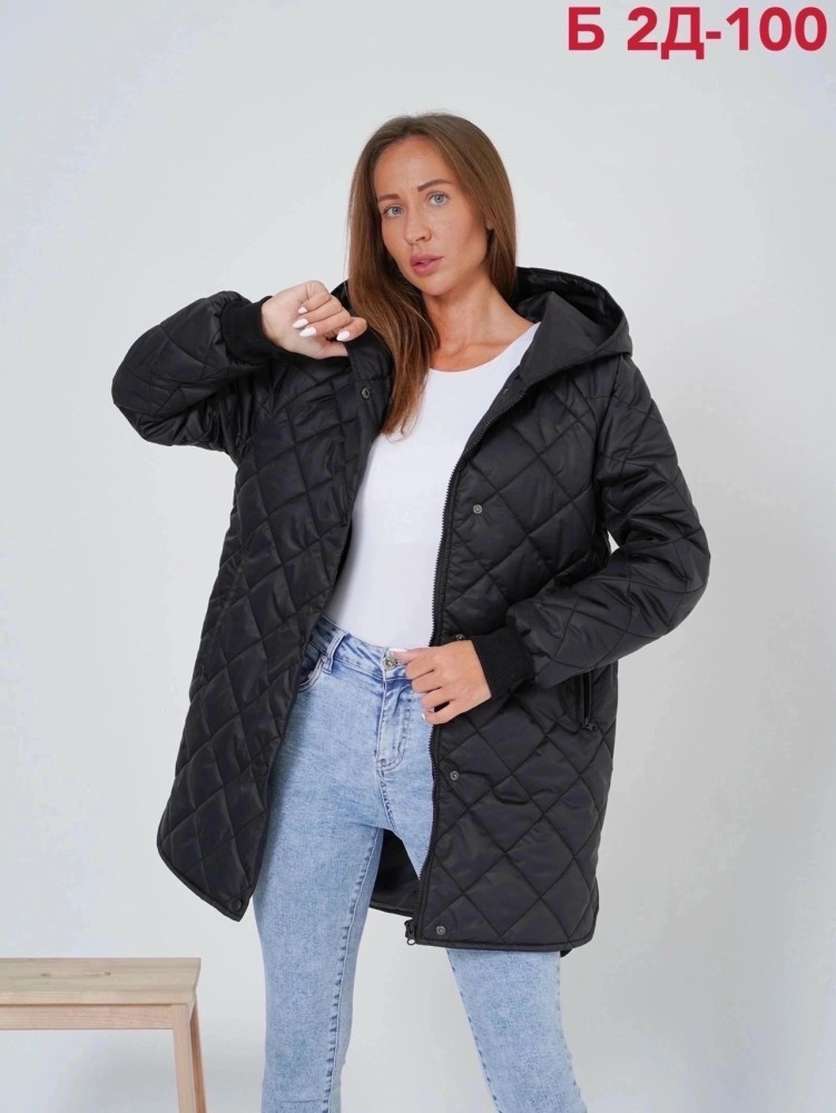 Куртка женская Без выбора цвета купить в Интернет-магазине Садовод База - цена 499 руб Садовод интернет-каталог