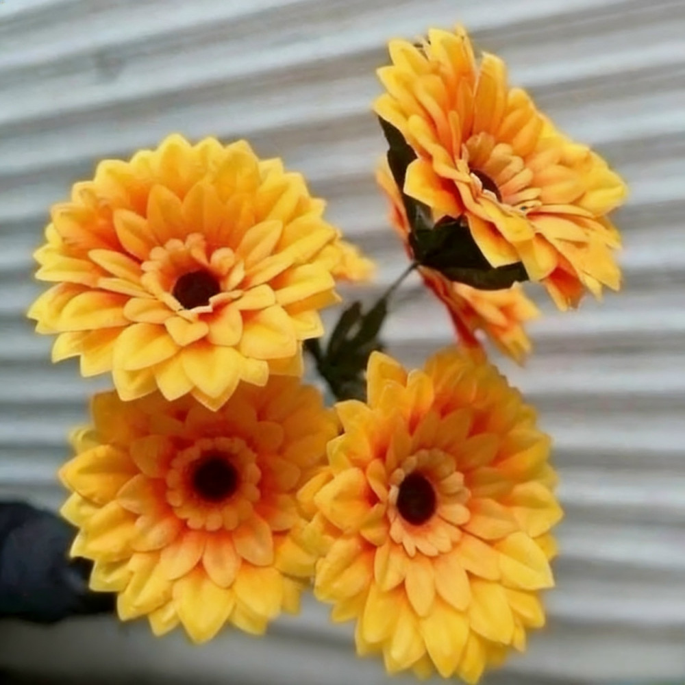 цветы купить в Интернет-магазине Садовод База - цена 10000 руб Садовод интернет-каталог