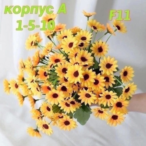 💐1 букет : 6 голов, 24 цветок САДОВОД официальный интернет-каталог