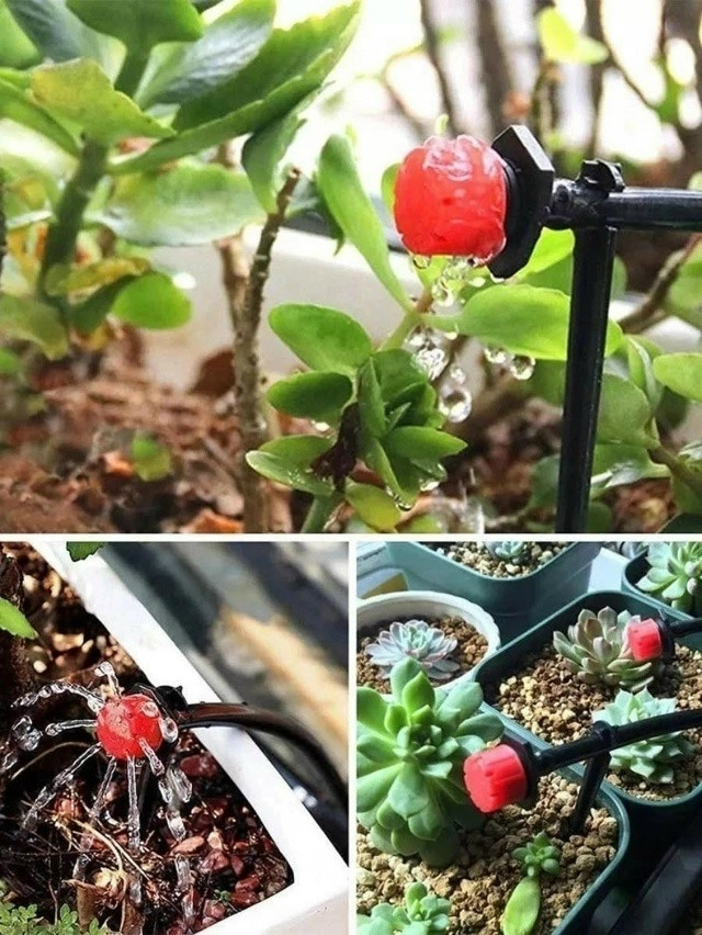 Капельный полив для теплиц и огорода купить в Интернет-магазине Садовод База - цена 450 руб Садовод интернет-каталог