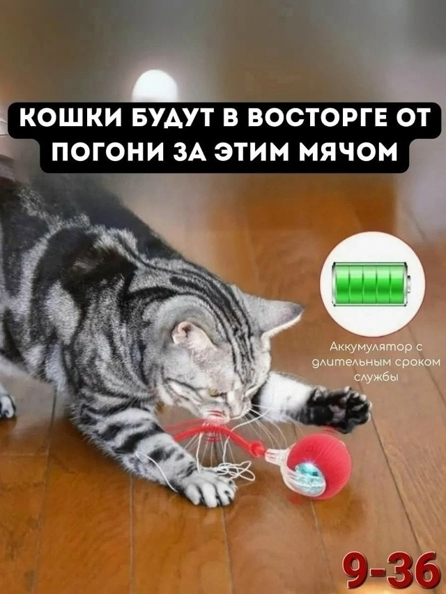 Игрушка для кошек купить в Интернет-магазине Садовод База - цена 150 руб Садовод интернет-каталог