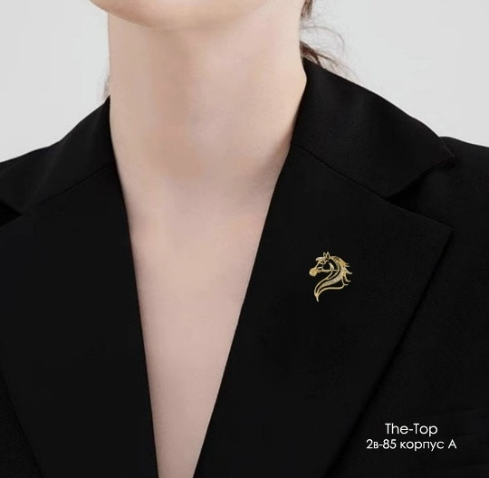 брошь купить в Интернет-магазине Садовод База - цена 50 руб Садовод интернет-каталог