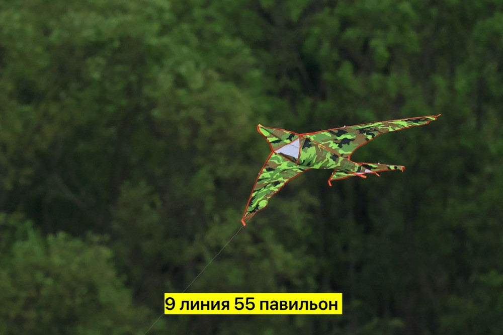 воздушный змей купить в Интернет-магазине Садовод База - цена 150 руб Садовод интернет-каталог