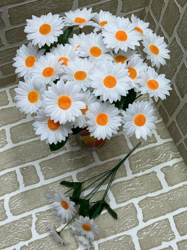 цветы САДОВОД официальный интернет-каталог