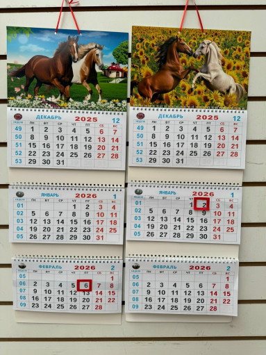 Новогодний календарь САДОВОД официальный интернет-каталог