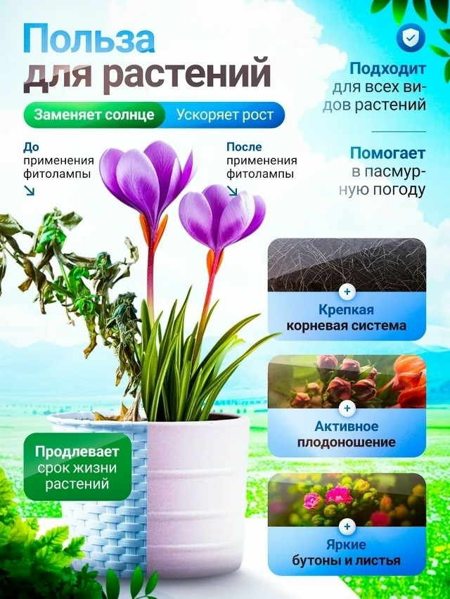 Фитолампа для растений купить в Интернет-магазине Садовод База - цена 450 руб Садовод интернет-каталог